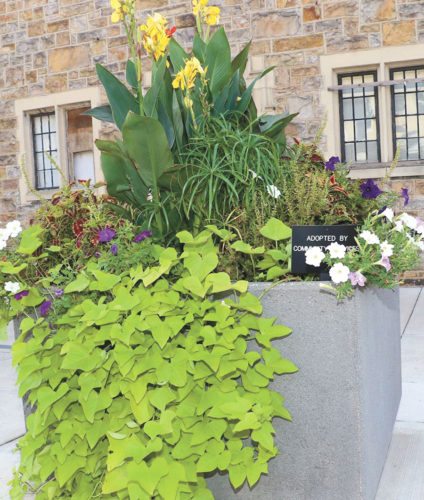 Downtown Lewistown Adopt-A-Planter Program